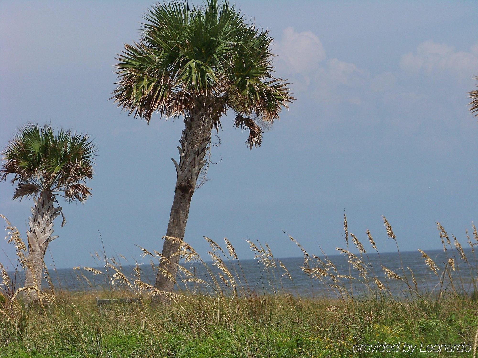 Holiday Inn Express Saint Simons Island By Ihg St. Simons Island Luaran gambar